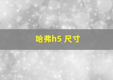 哈弗h5 尺寸